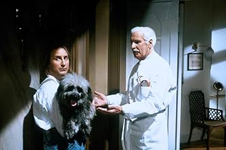 पोस्टर देखें