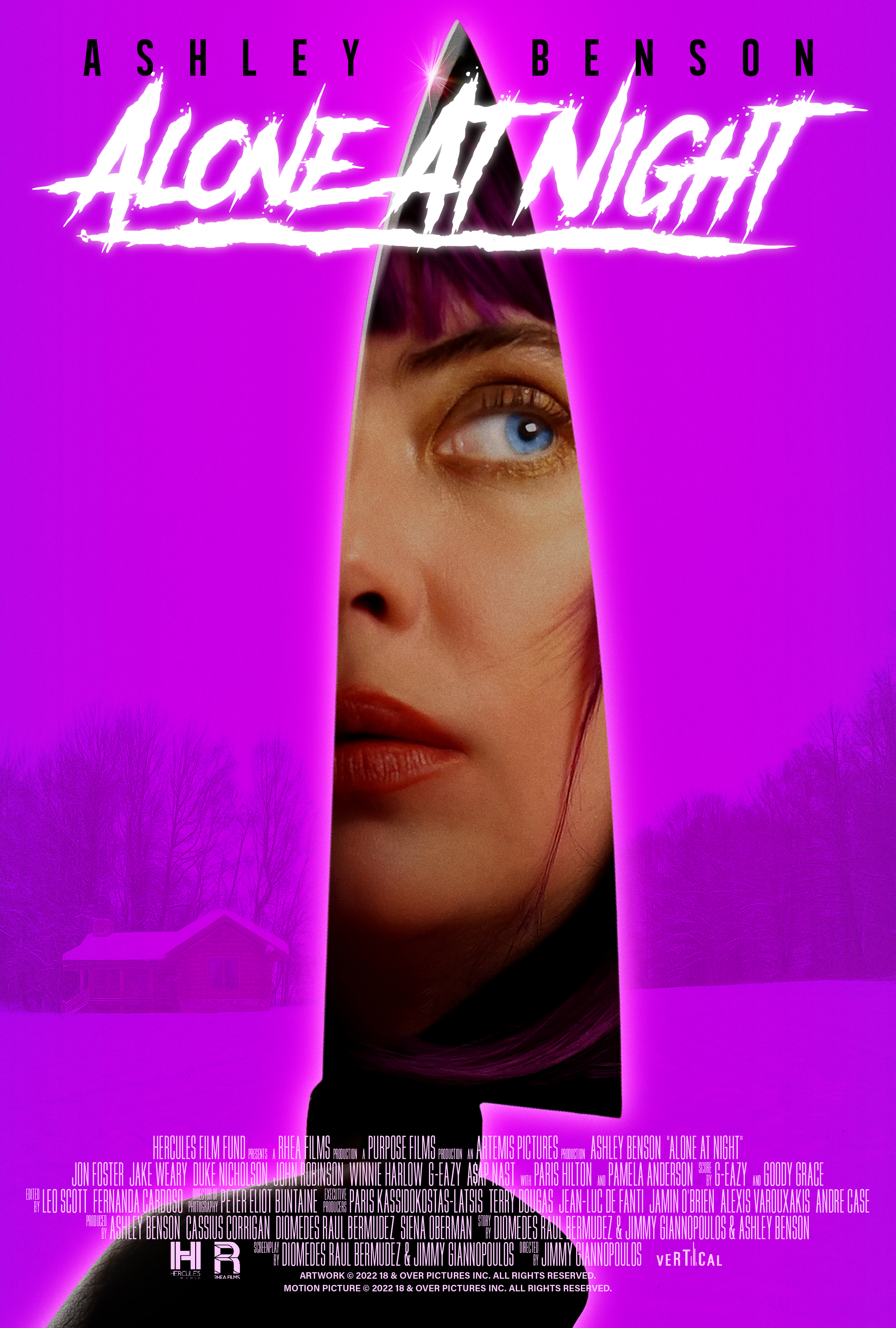 Poster of Alone at Night