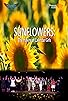 Primary photo for Sunflowers