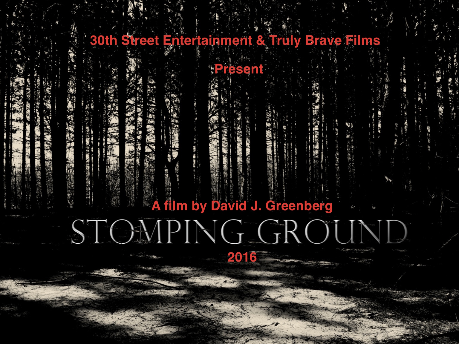 Poster of Stomping Ground