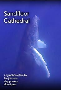 Primary photo for Sandfloor Cathedral