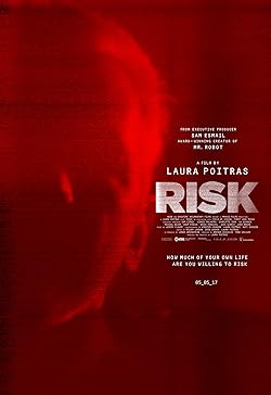 Poster of Risk