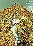 Primary photo for Golden Lion on the Eve of Ivan Kupala Primary photo for Golden Lion on the Eve of Ivan Kupala