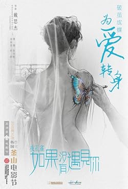 Poster of Night Peacock