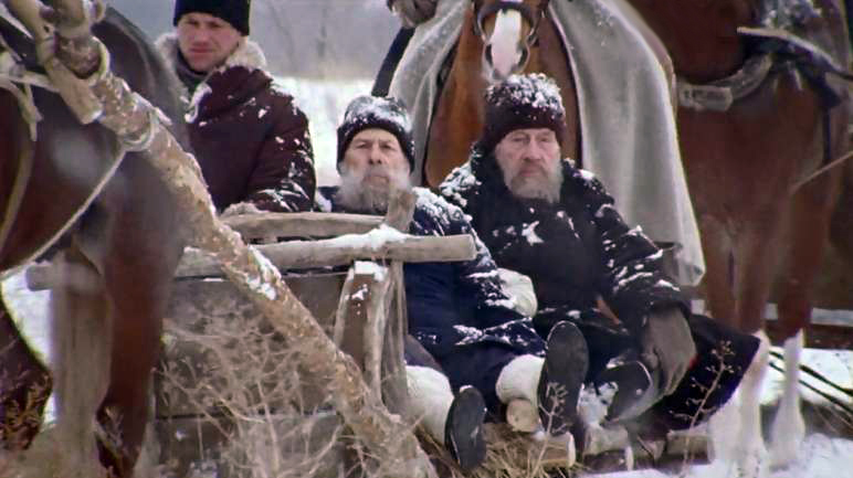 Arntgolts opa-singillarining ochiq mushuklari