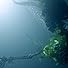 Primary photo for The Atlas Moth: Your Calm Waters Primary photo for The Atlas Moth: Your Calm Waters