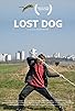 Primary photo for Lost Dog Primary photo for Lost Dog