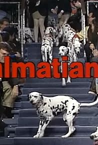 Primary photo for Episode dated 8 January 1993