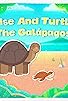 Primary photo for Tortoise and Turtle of the Galapagos Primary photo for Tortoise and Turtle of the Galapagos