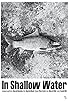 Primary photo for In Shallow Water