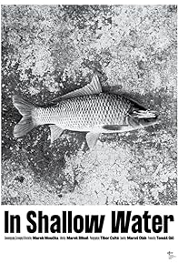 Primary photo for In Shallow Water
