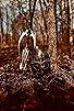 Primary photo for Gungnir A Viking Tale Primary photo for Gungnir A Viking Tale