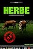 Primary photo for Herbe