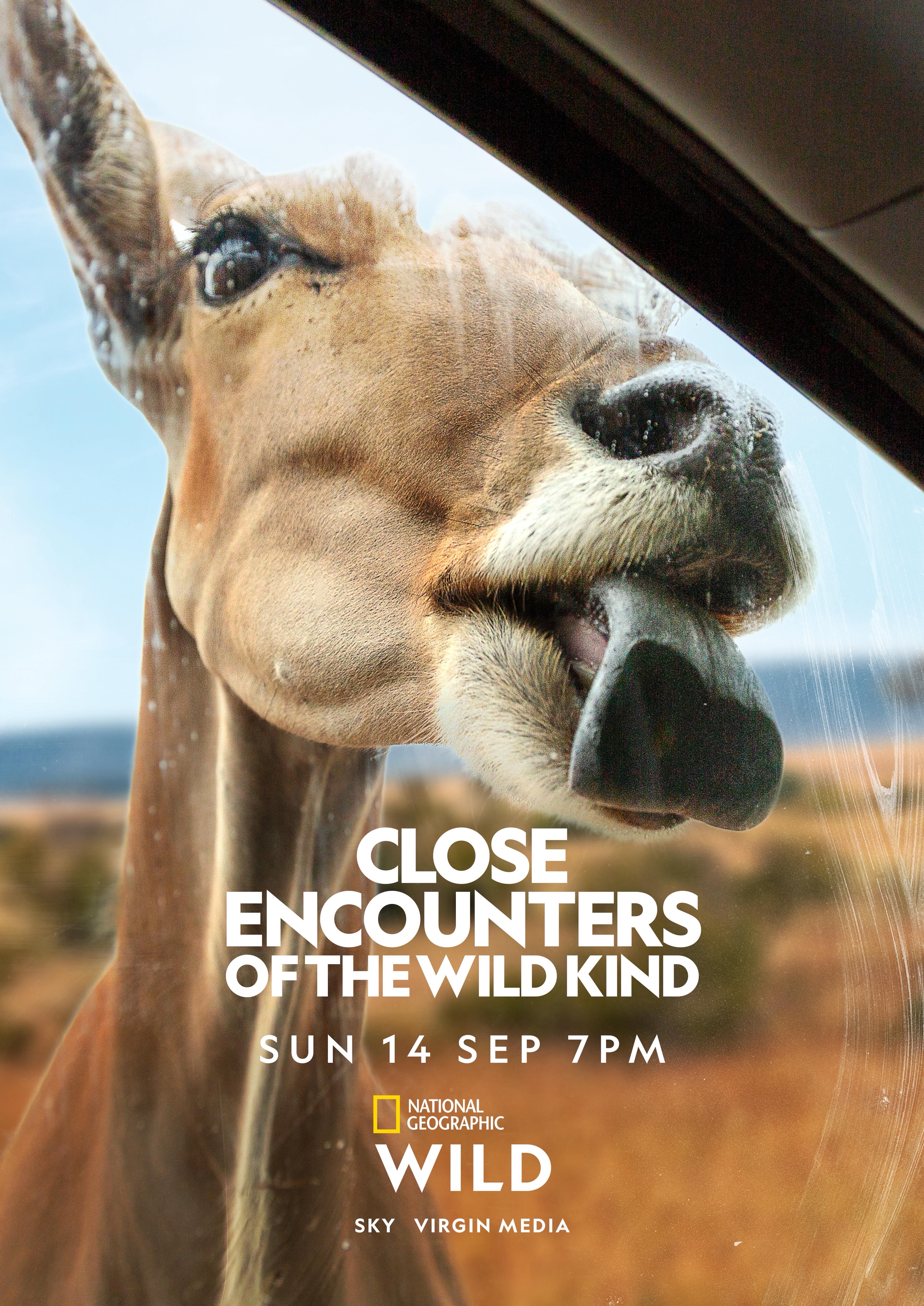 Close Encounters of the Wild Kind