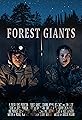 Forest Giants's primary photo