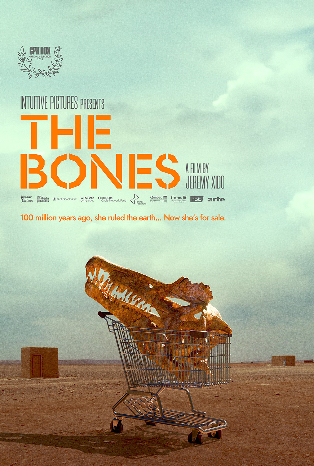 Poster of The Bones