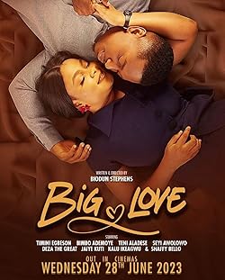 Poster of Big Love