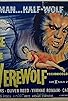 Primary photo for The Curse of the Werewolf