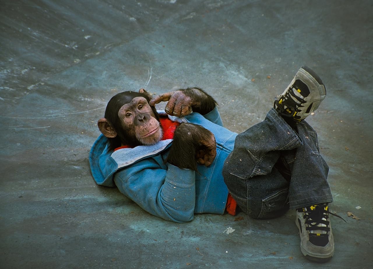 MVP 2 Most Vertical Primate (2001)