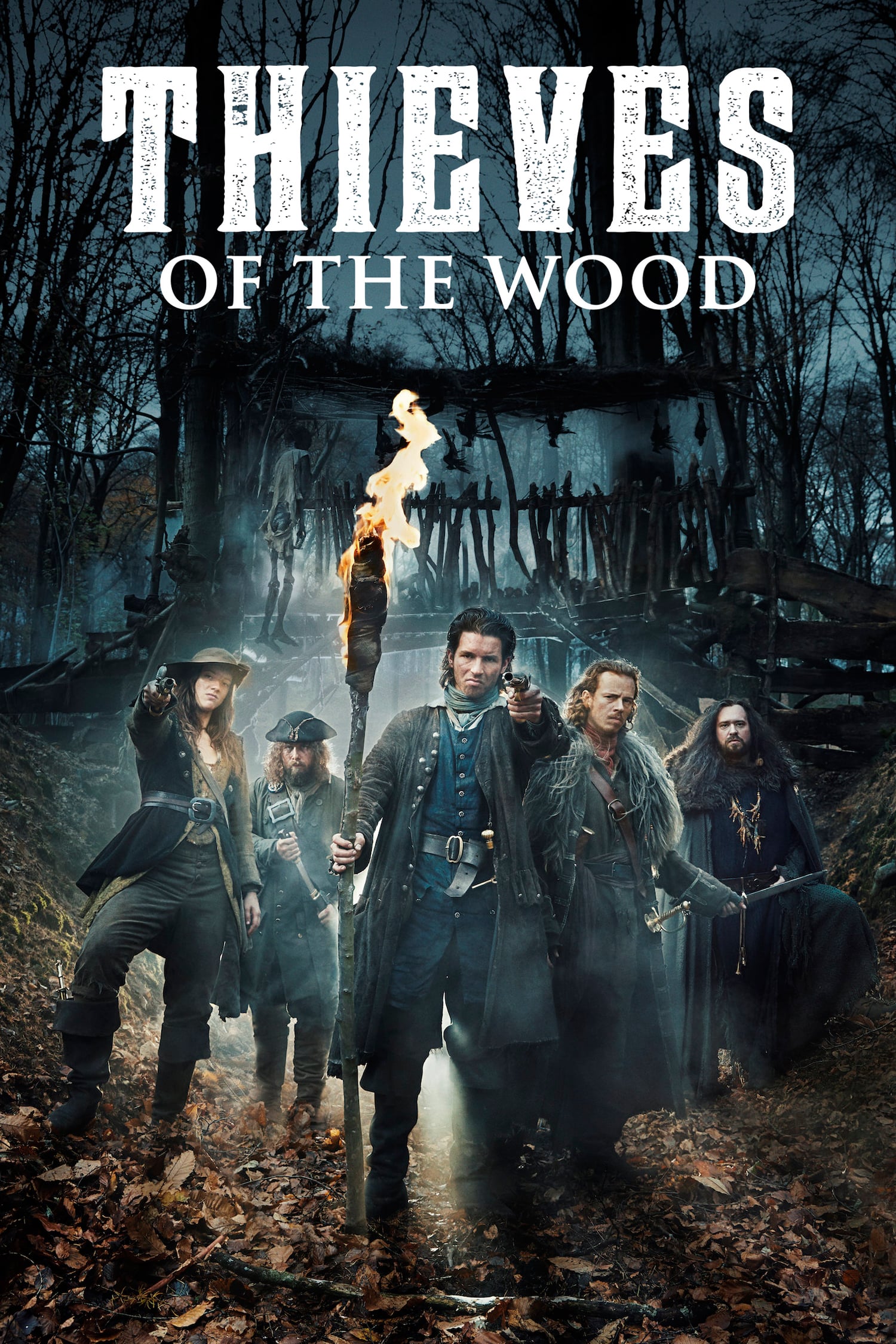 Poster of Thieves Of The Wood
