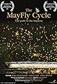 The Mayfly Cycle's primary photo