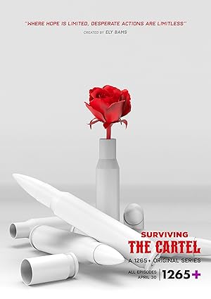 Sobreviviendo al cártel Poster