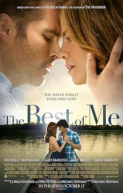 Poster of The Best Of Me