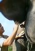 Primary photo for A Handful of Elephants Primary photo for A Handful of Elephants