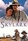 Skylark's primary photo
