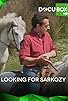 Primary photo for Looking for Nicolas Sarkozy