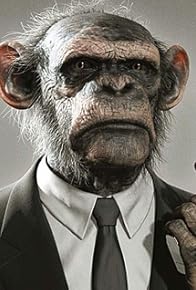 Primary photo for War Monkeys