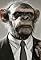 War Monkeys's primary photo