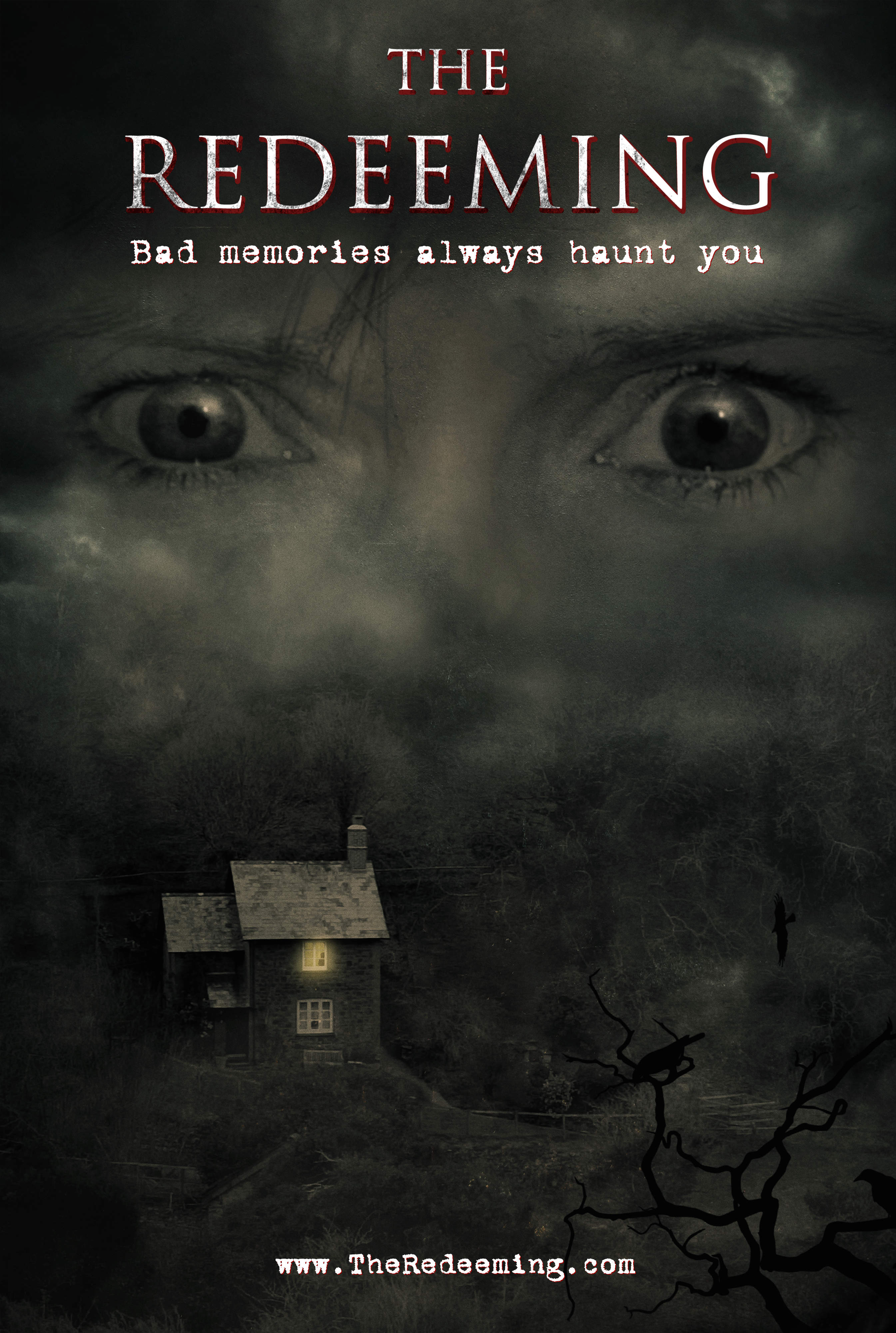 Poster of The Redeeming