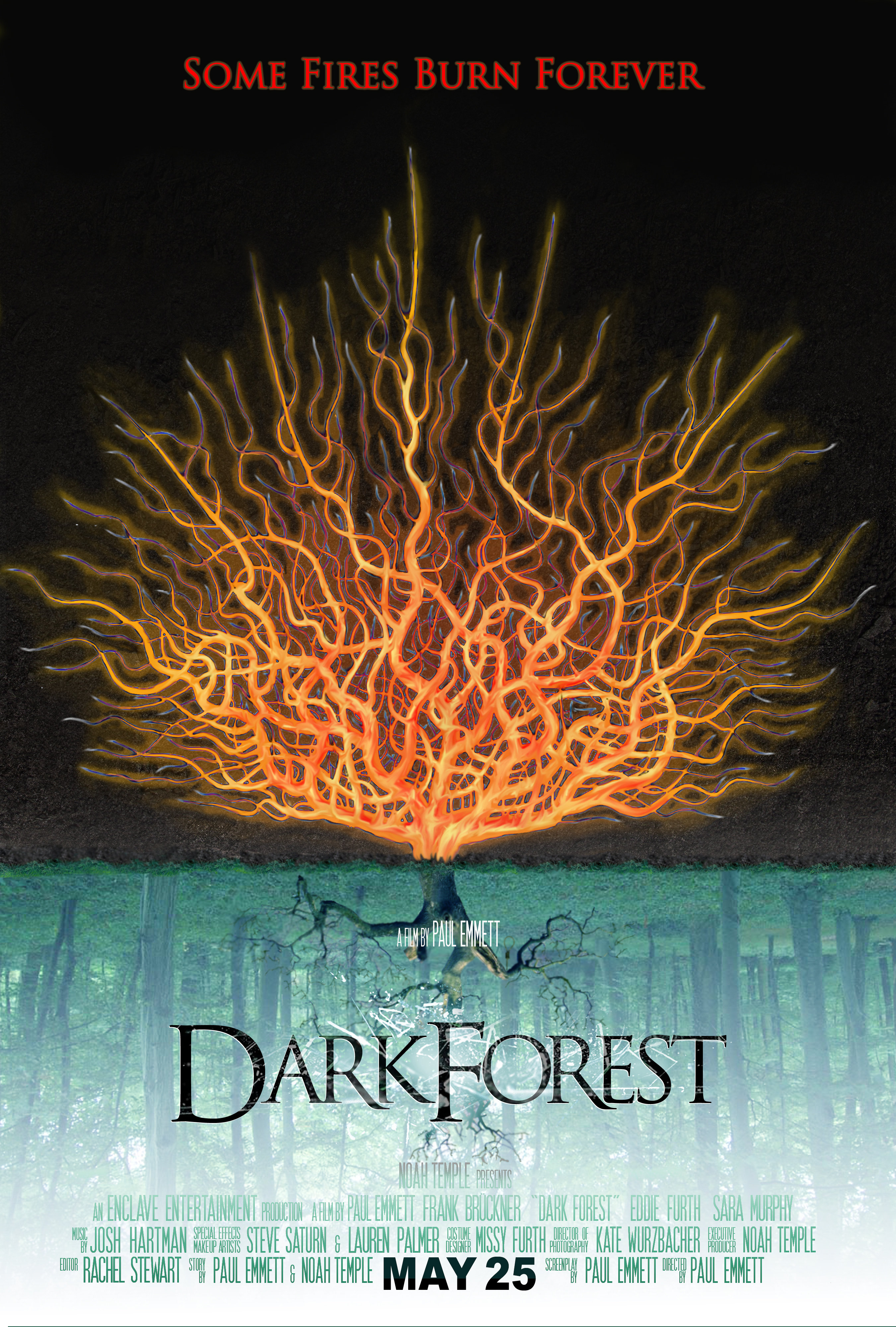 Dark Forest (2013)