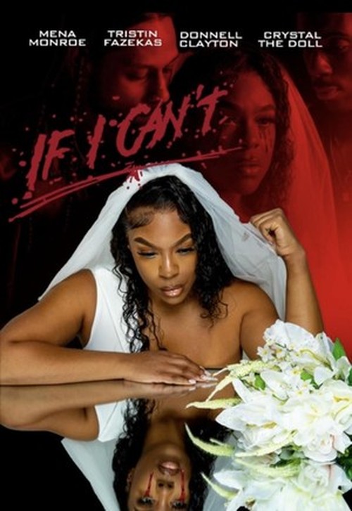 Poster of If I Can't