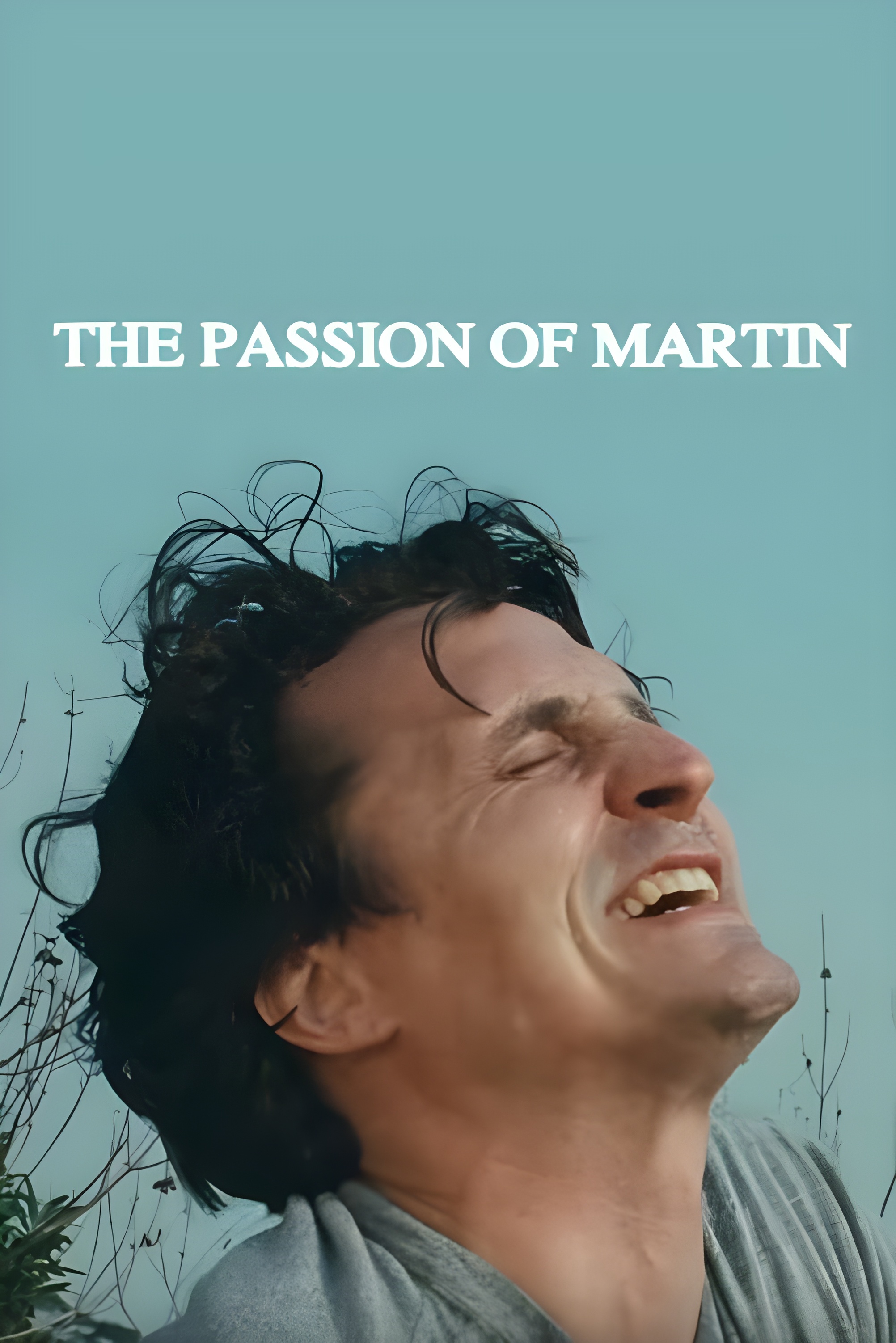 Poster of The Passion of Martin