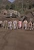 Primary photo for The M*A*S*H Olympics Primary photo for The M*A*S*H Olympics