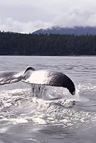 Primary photo for Thar' She Blows