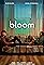 Bloom's primary photo