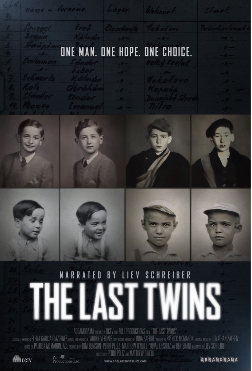 The Last Twins