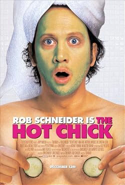 Poster of The Hot Chick