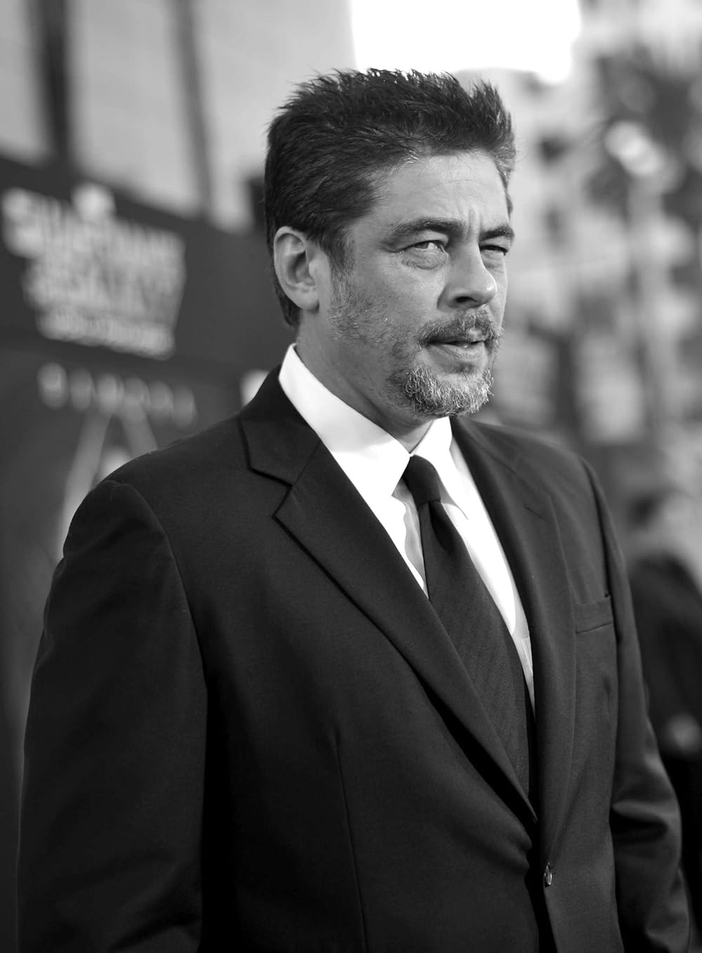 Benicio Del Toro