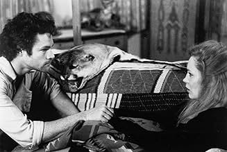 पोस्टर देखें