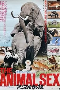 Primary photo for Call of the Wild: Sex in the Animal Kingdom