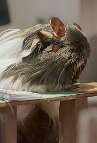 Primary photo for The Art Show