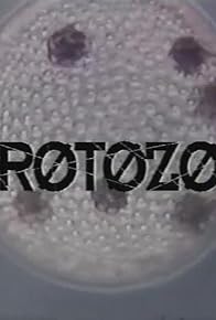 Primary photo for Protozoa Primary photo for Protozoa