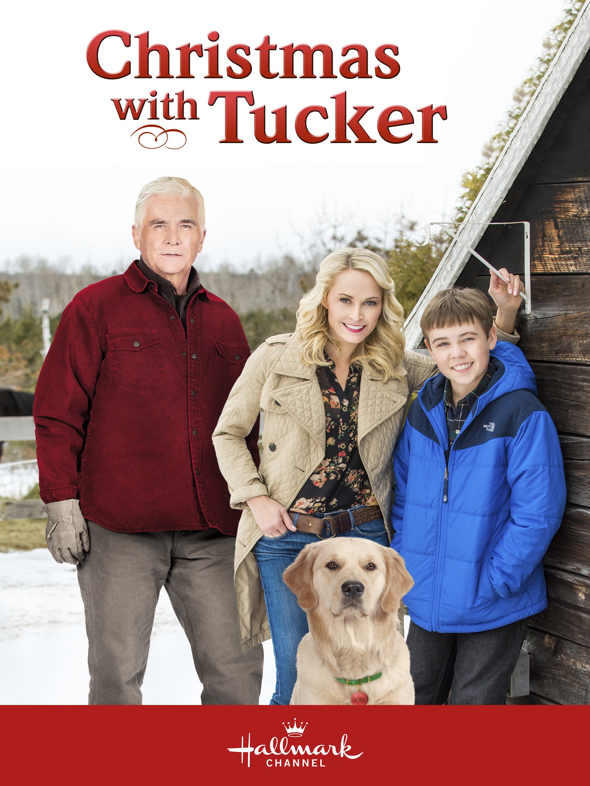 Poster of Christmas with Tucker