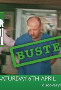 Primary photo for Busted Primary photo for Busted