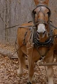 Primary photo for Arkansas, USA