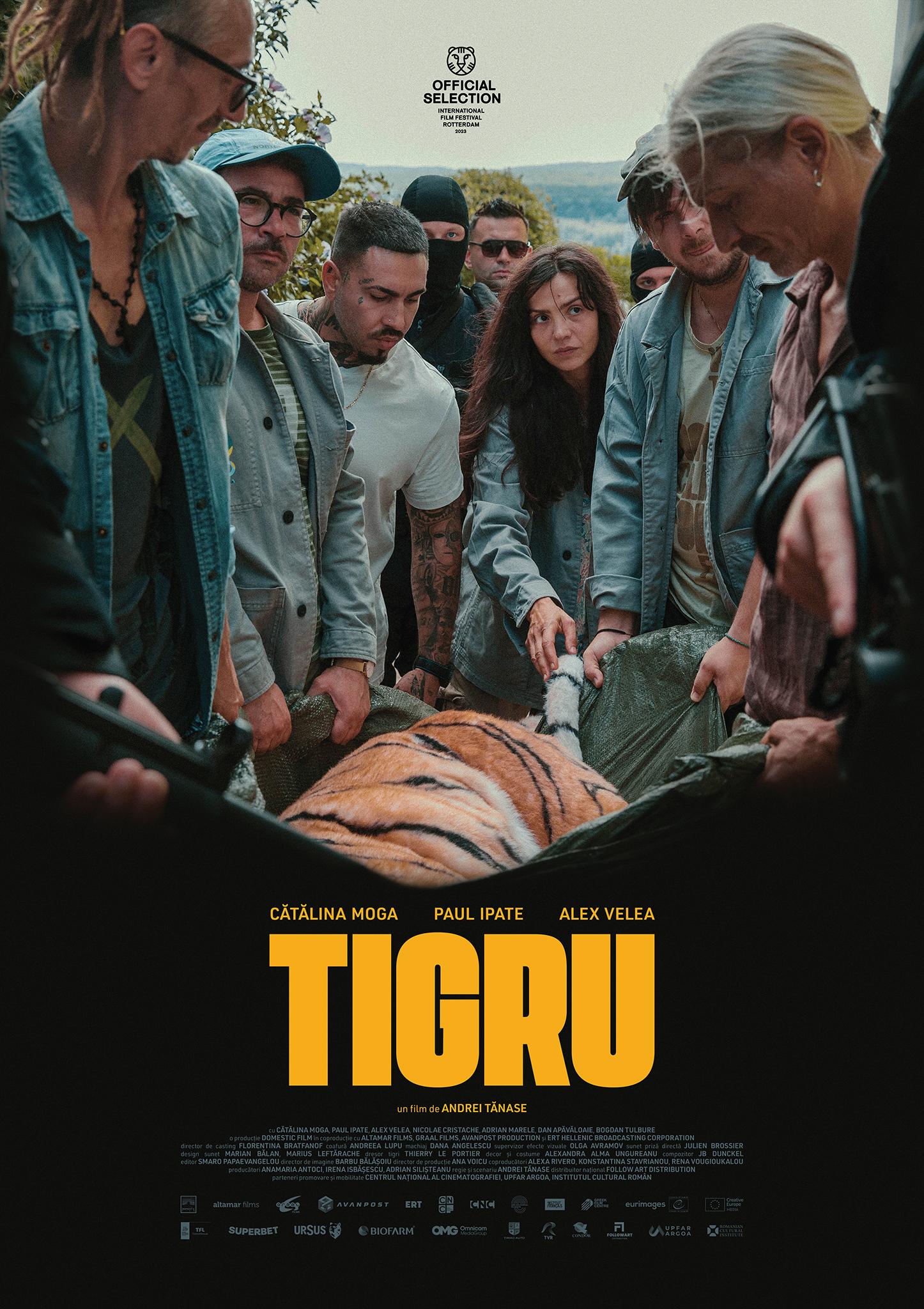 Poster of Tigru